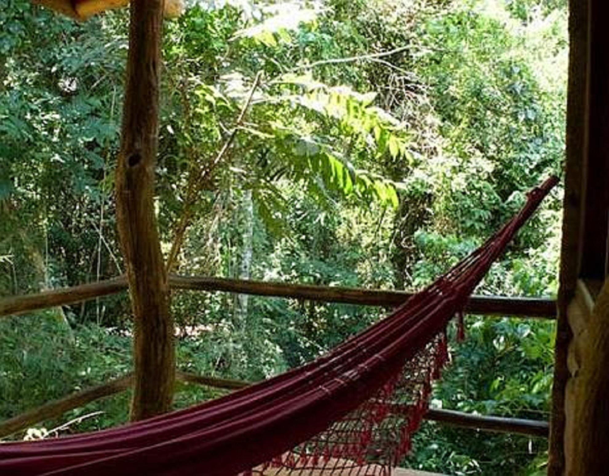 La Aldea De La Selva Lodge Puerto Iguazu Ngoại thất bức ảnh